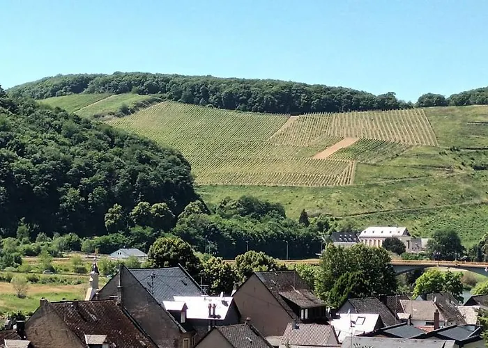 דירה Buergerhaus זלטינגן-רכטינג