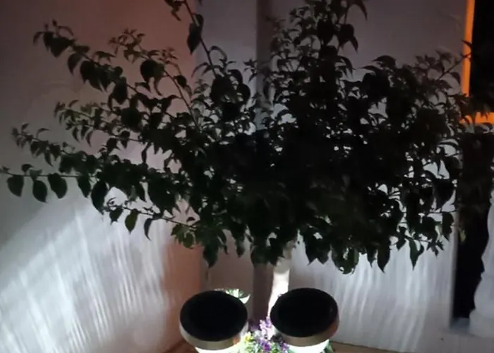 דירה Buergerhaus זלטינגן-רכטינג